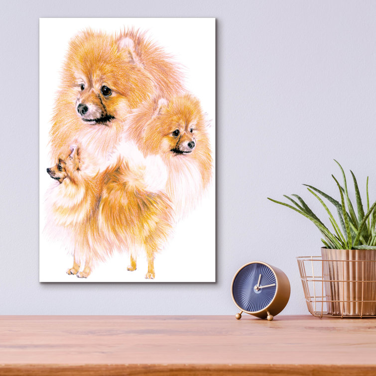 Pomeranian shop wall art